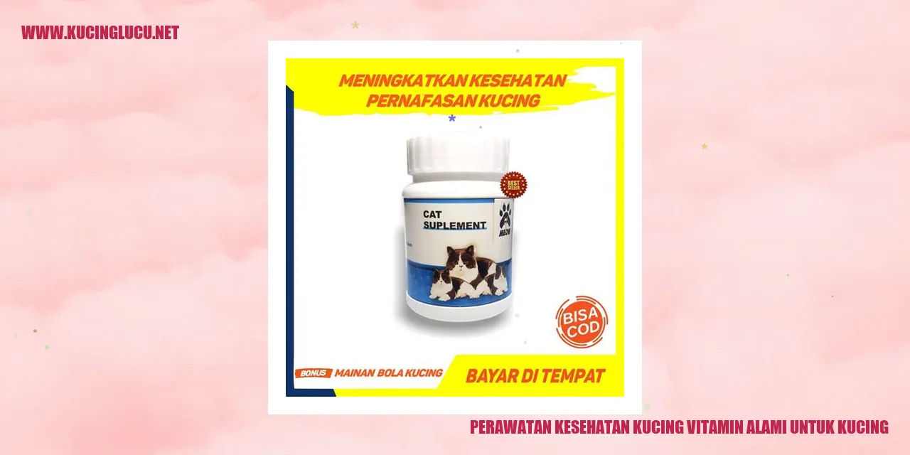 Perawatan Kesehatan Kucing vitamin alami untuk kucing