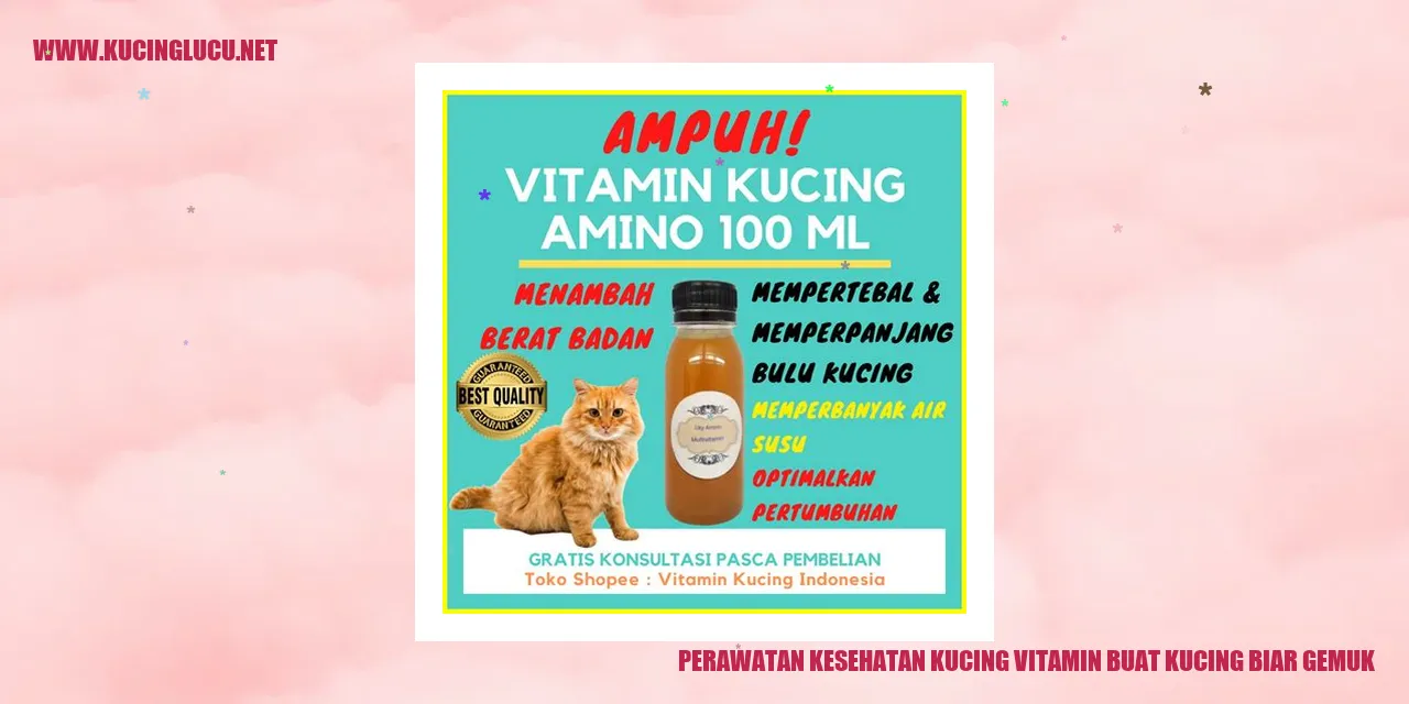 Perawatan Kesehatan Kucing vitamin buat kucing biar gemuk