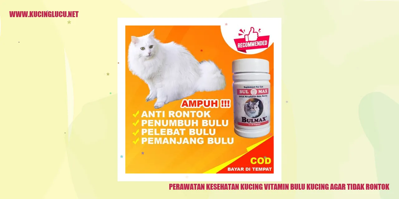 Perawatan Kesehatan Kucing: Vitamin untuk Mencegah Rontoknya Bulu Kucing