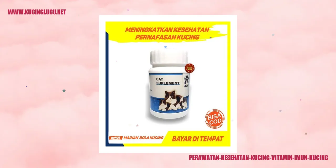 Perawatan Kesehatan Kucing dengan Vitamin dan Imunisasi