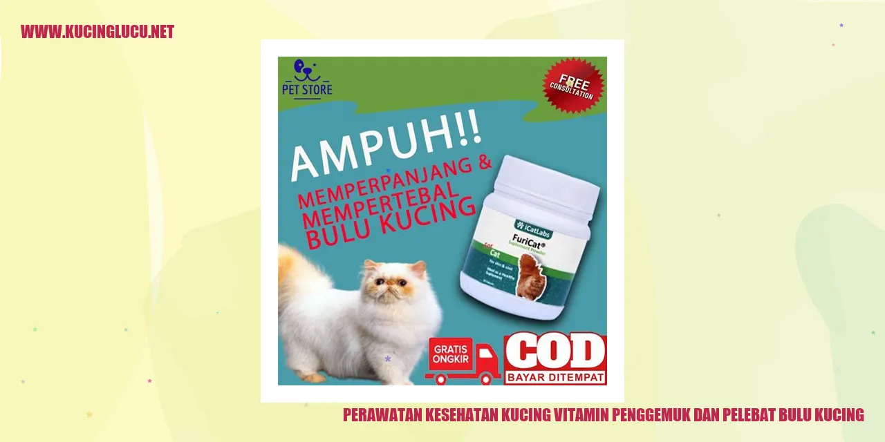 Perawatan Kesehatan Kucing