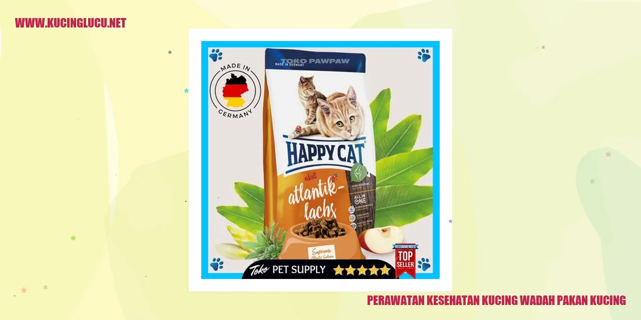 Perawatan Kesehatan Kucing
