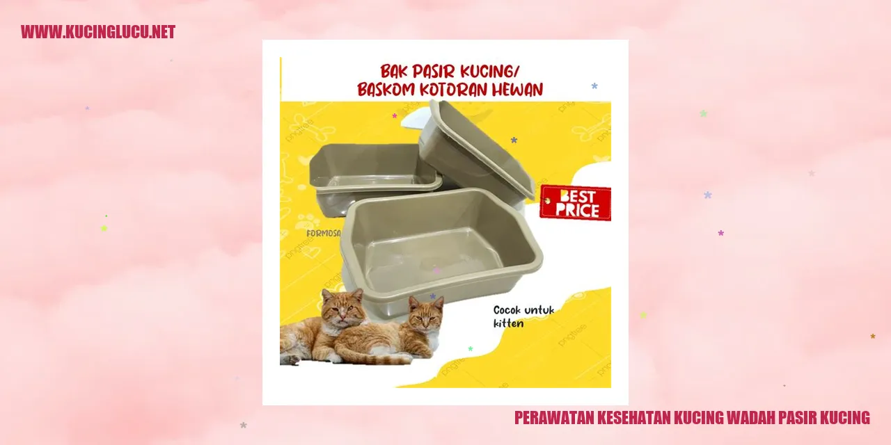 Perawatan Kesehatan Kucing wadah pasir kucing