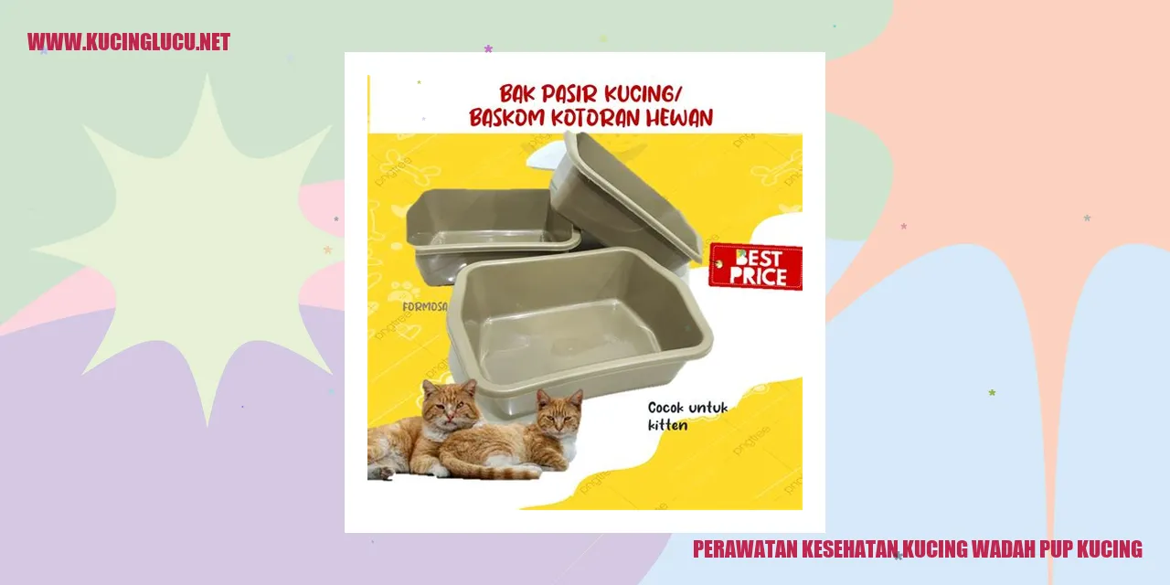 gambar kucing menggunakan wadah pup kucing
