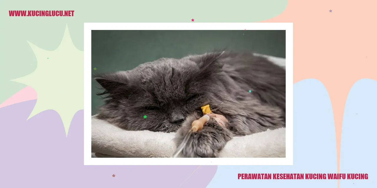Perawatan kesehatan kucing