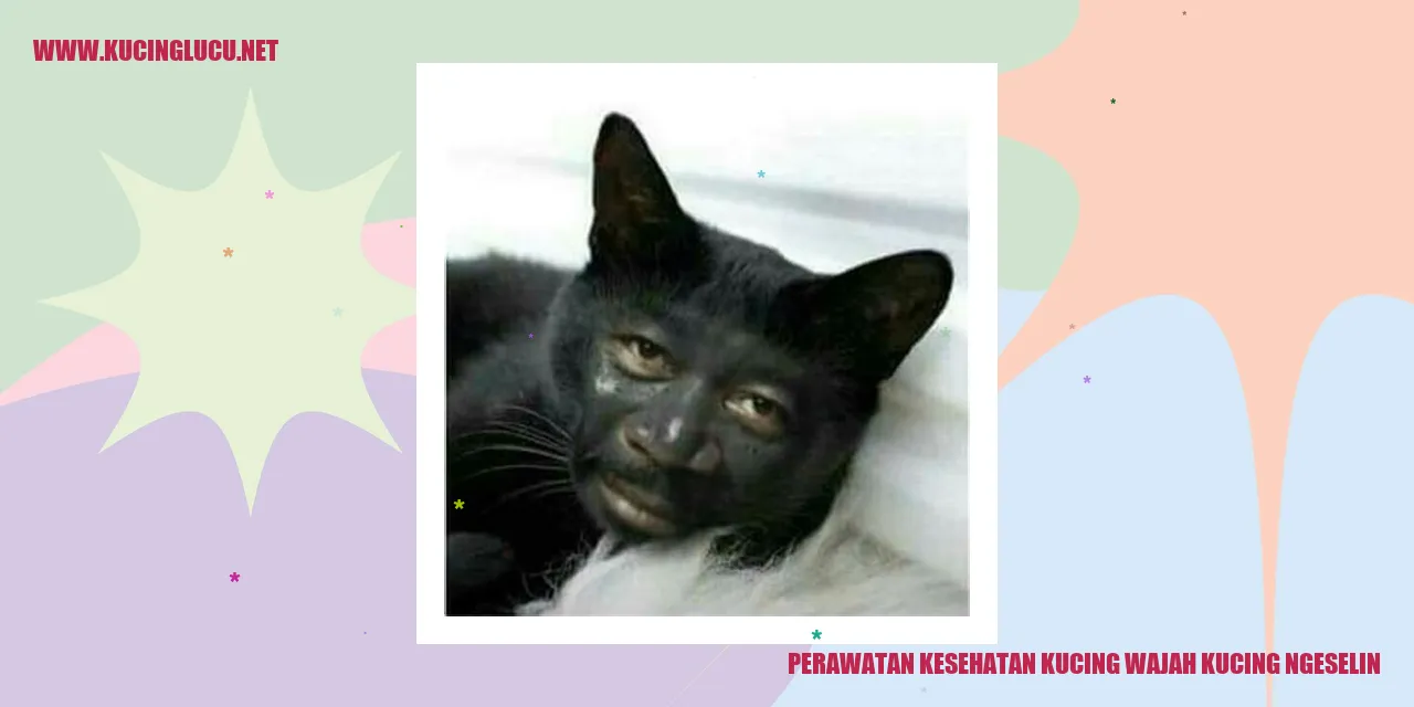 Wajah Kucing yang Bikin Kesal