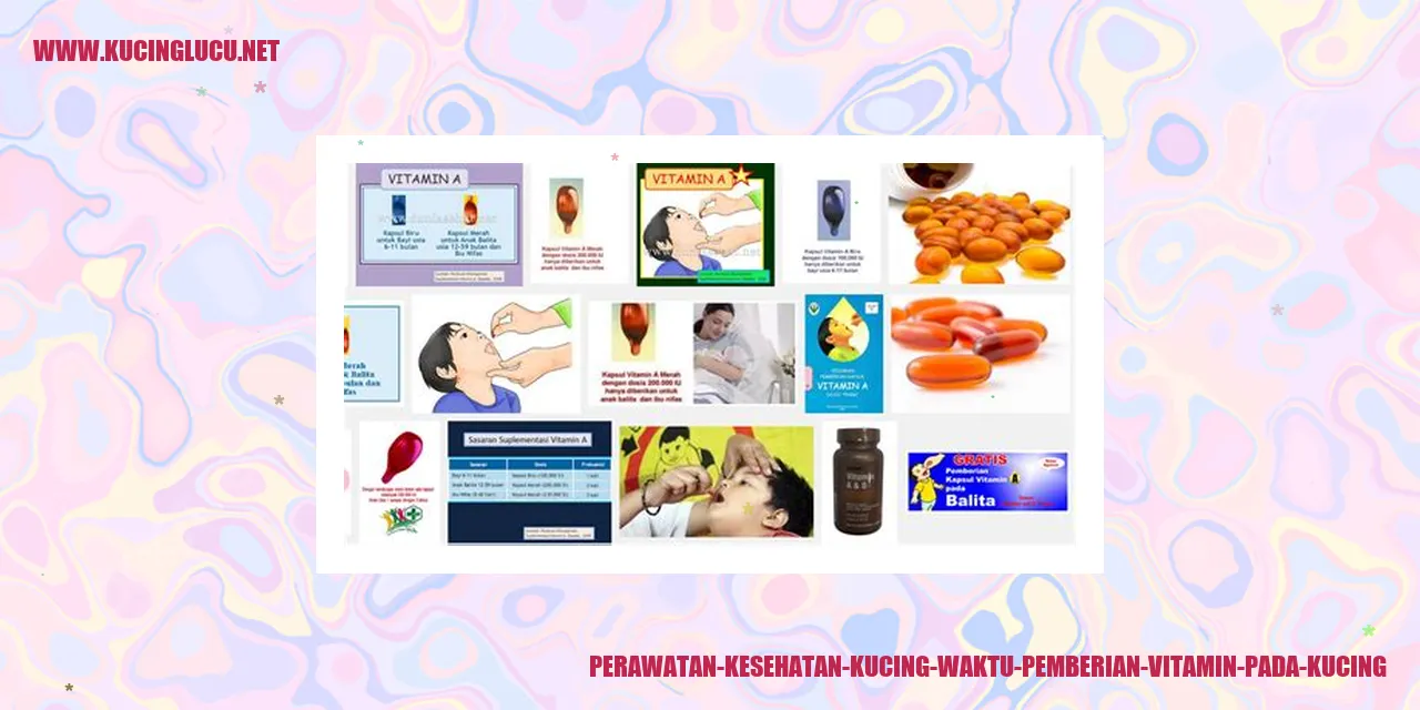 Perawatan Kesehatan Kucing
