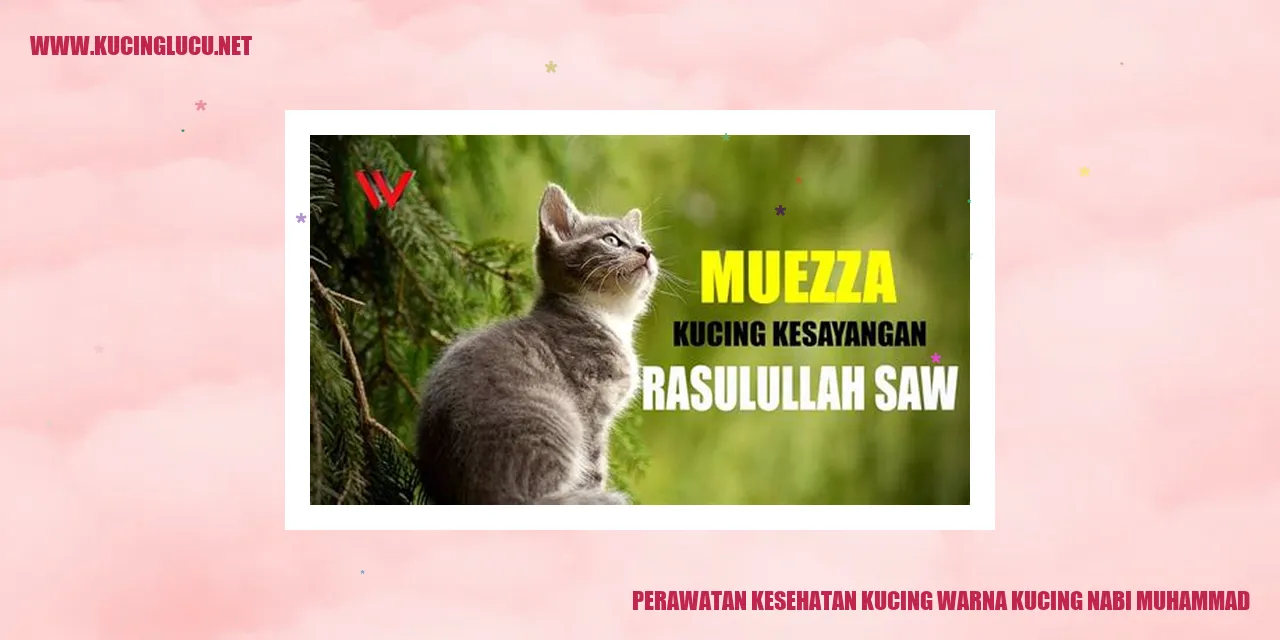 Perawatan Kucing