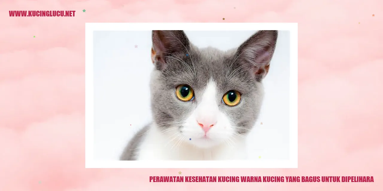 Perawatan Kesehatan Kucing
