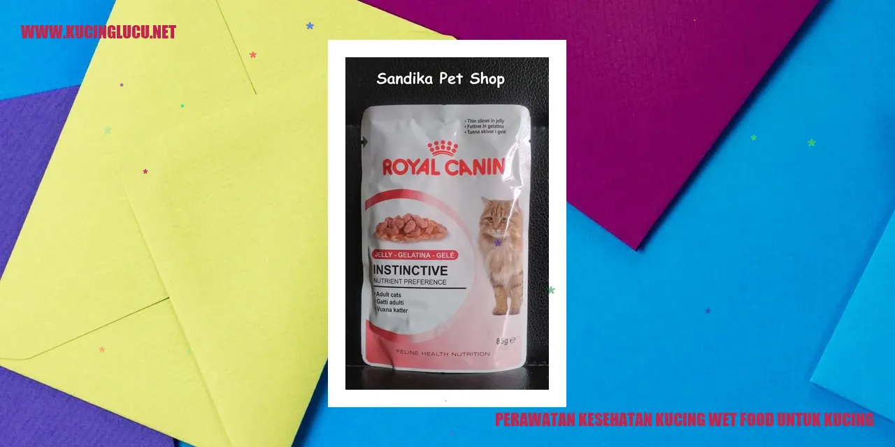 Gambar kucing sedang makan makanan basah