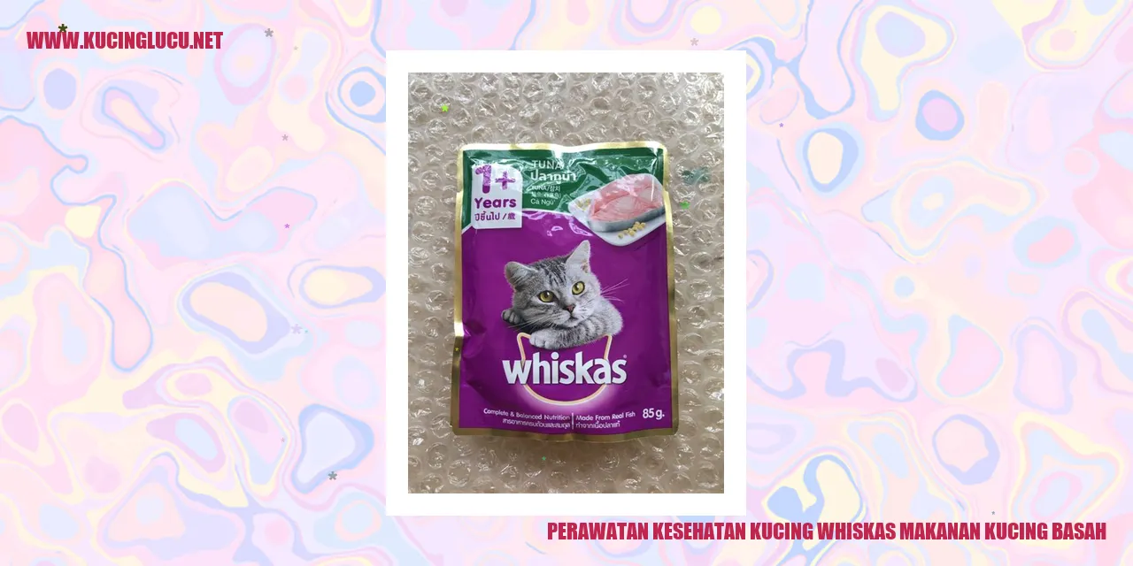 Perawatan Kesehatan Kucing Whiskas