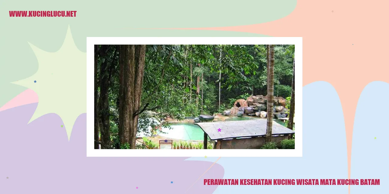 Perawatan Kesehatan Kucing wisata mata kucing batam