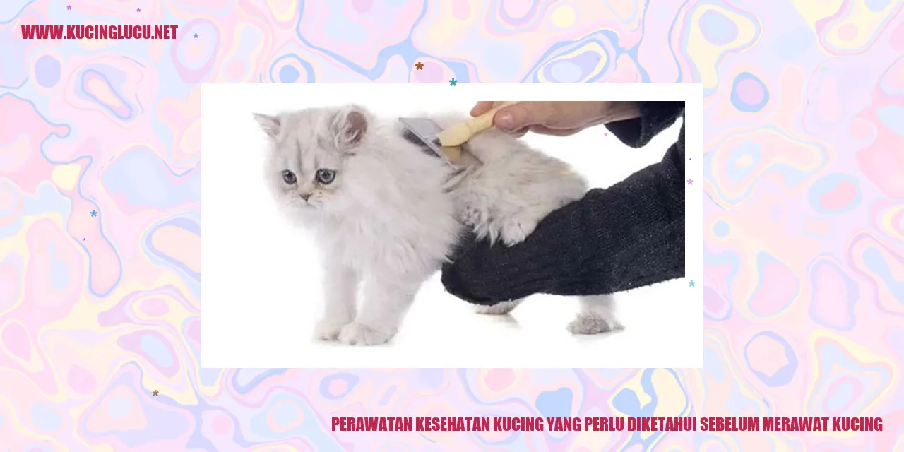 Perawatan Kesehatan Kucing