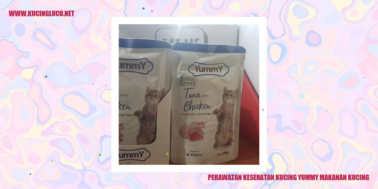 Kucing yang Menyukai Makanan Sehat