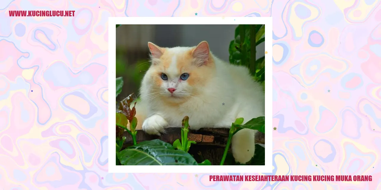Perawatan Kesejahteraan Kucing