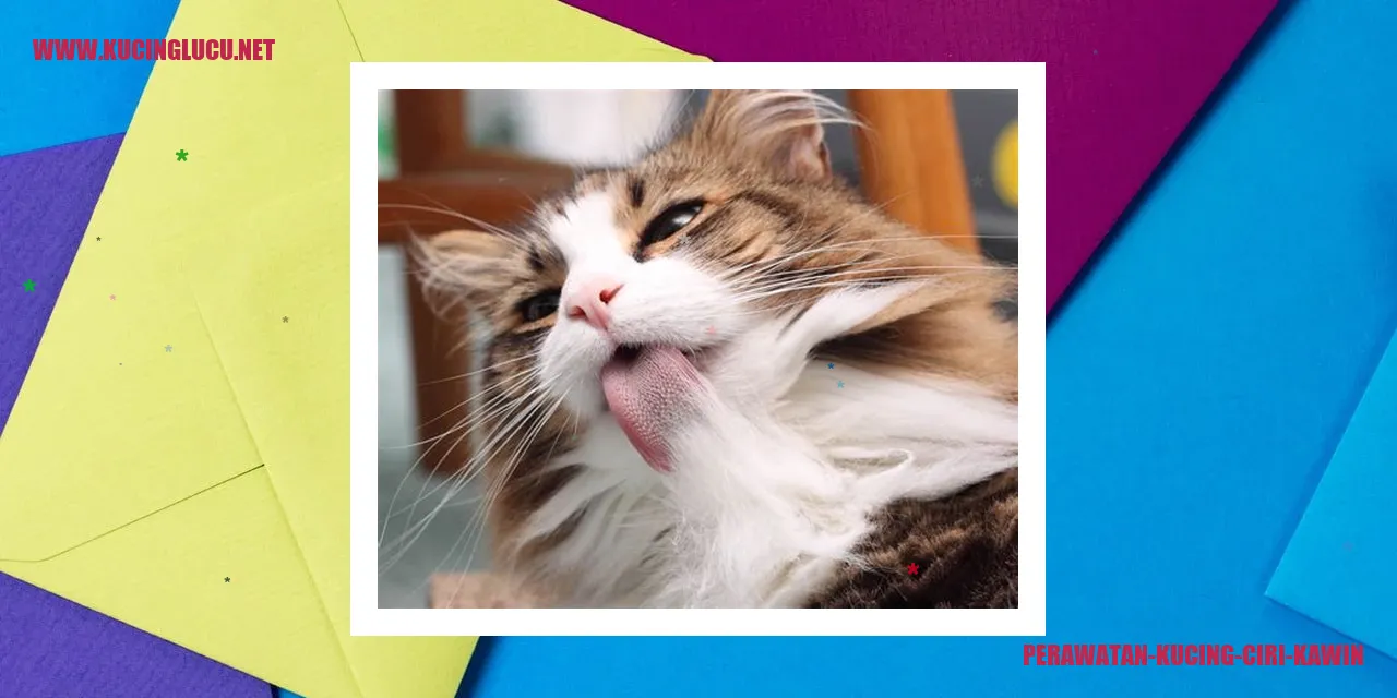 Perawatan-Kesehatan-Kucing-Berhasil-Kawin