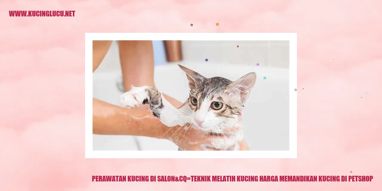 Kucing di petshop