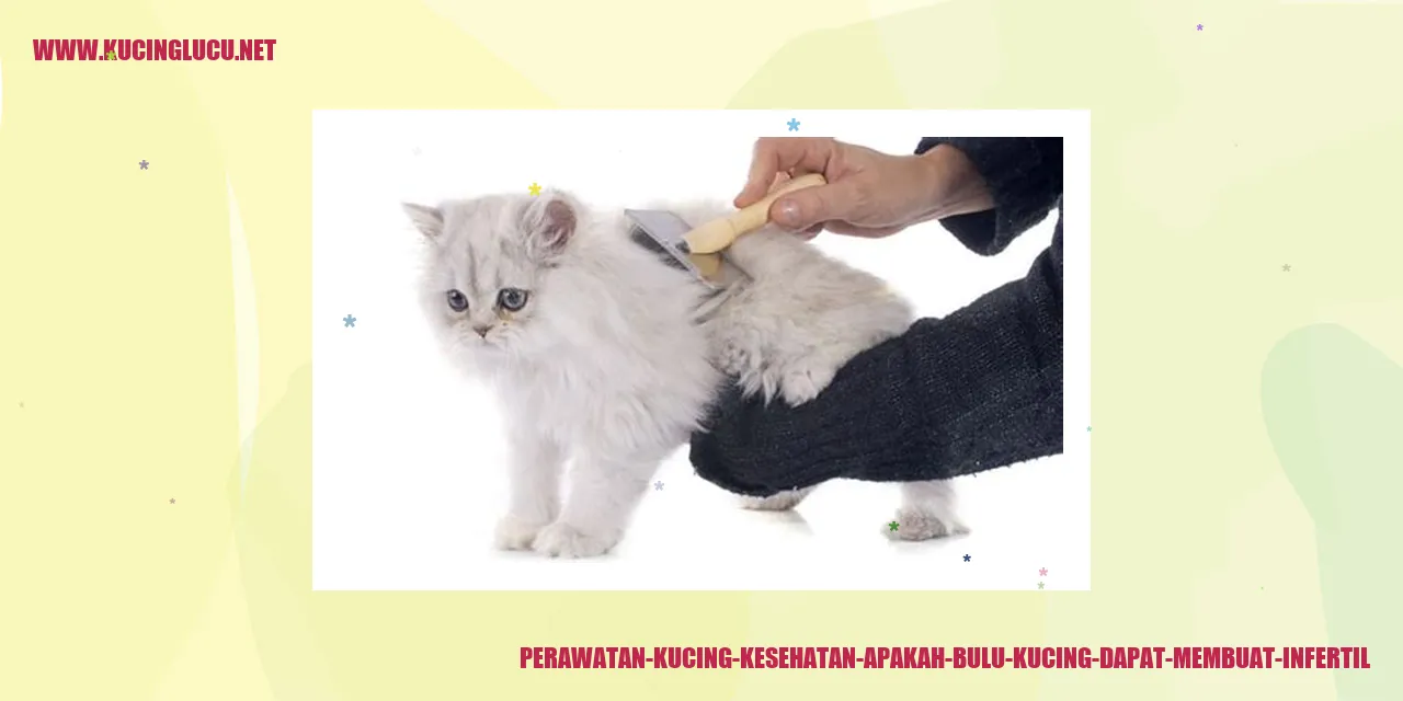 Gambarkucing