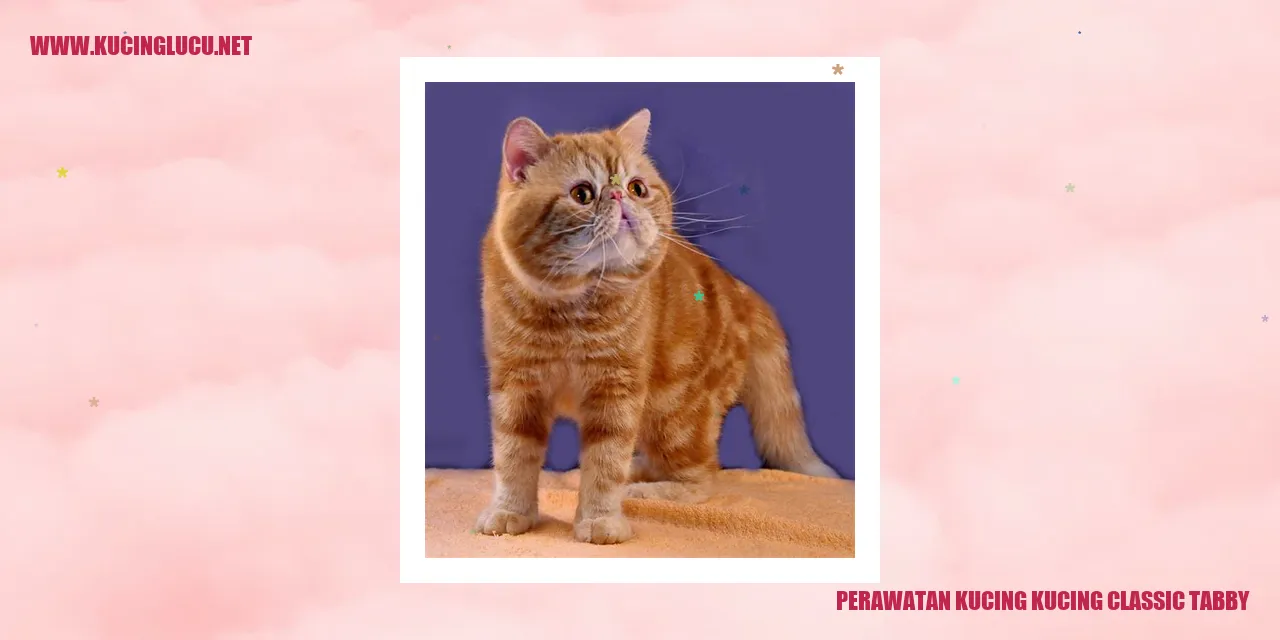 Kucing corak bergaris khas