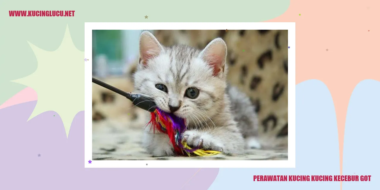 Perawatan Kesehatan Kucing