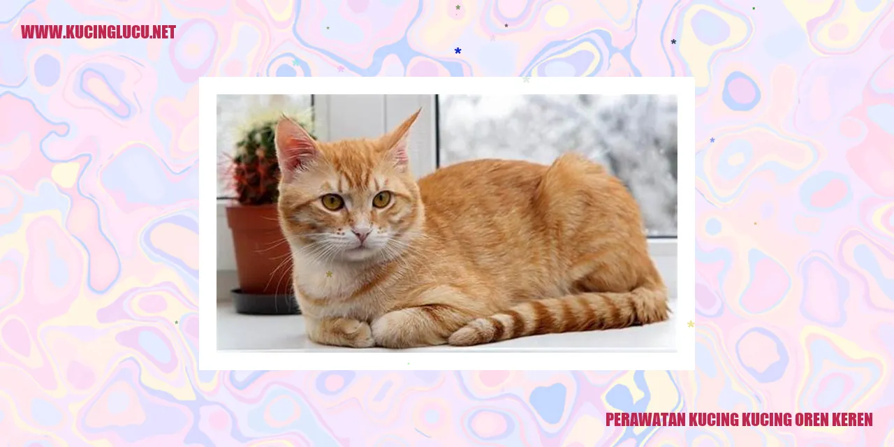 Perawatan Kesehatan Kucing yang Optimal