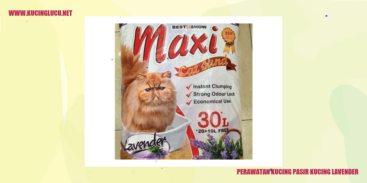 Perawatan Kucing Pasir Lavender