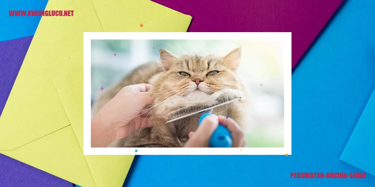 Perawatan Kucing