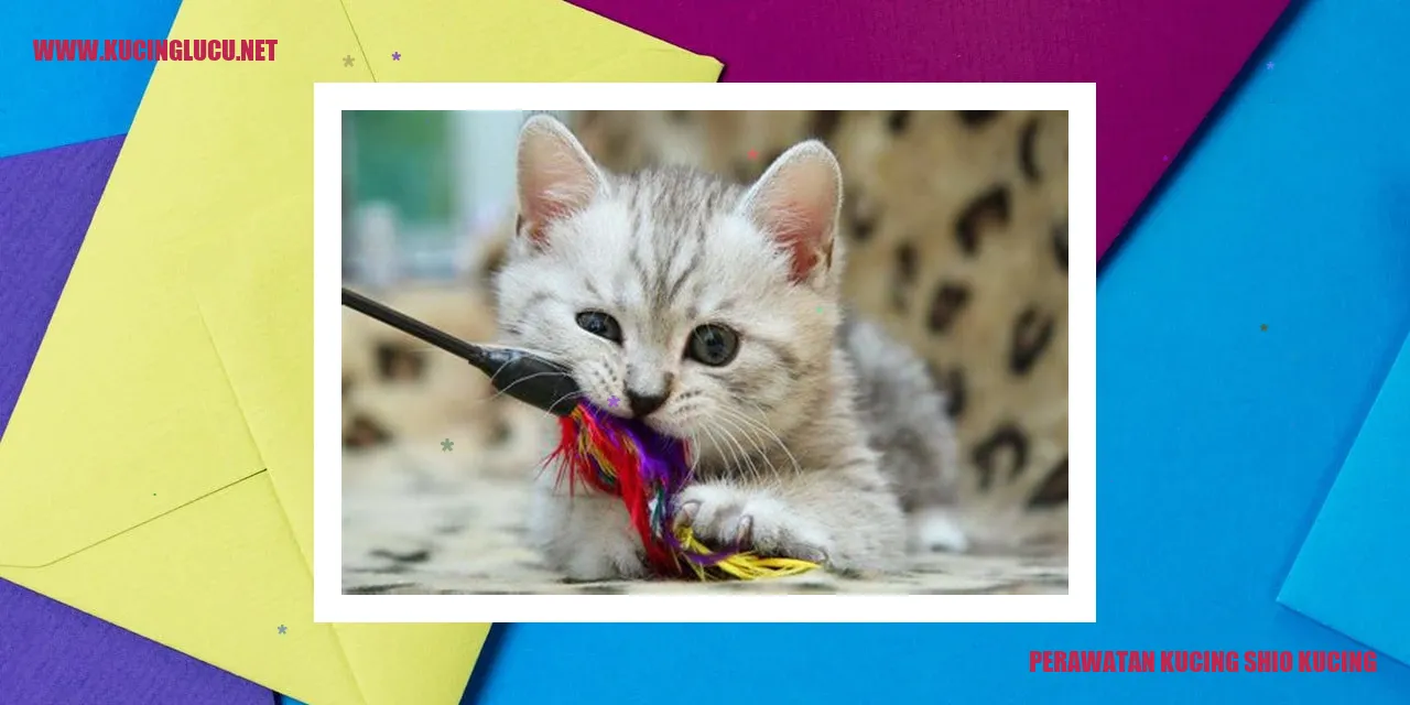 Perawatan Kesehatan Kucing