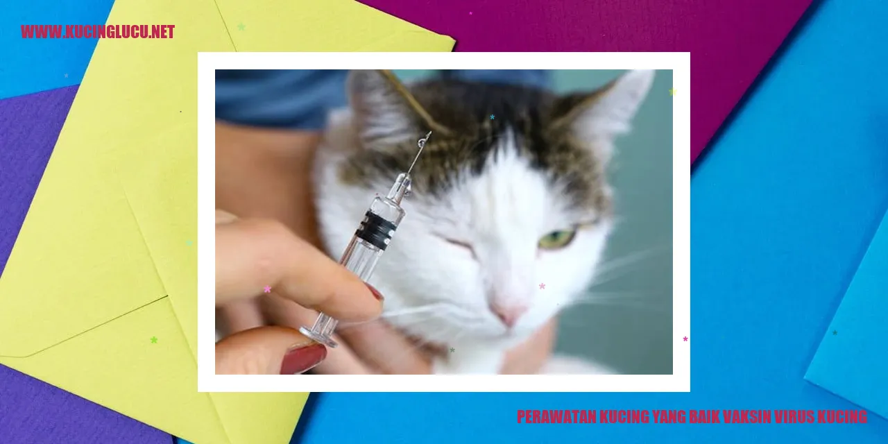 Perawatan Kucing yang Baik