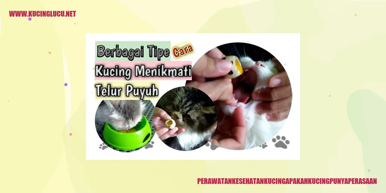 Perawatan Kesehatan Kucing