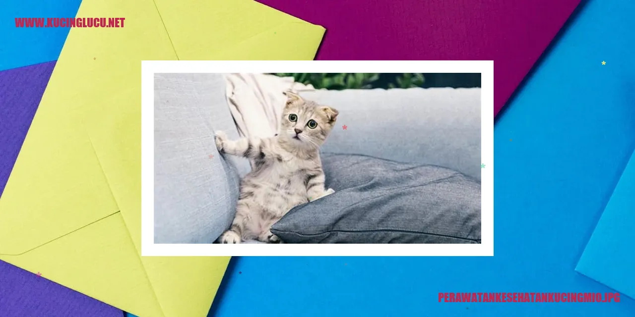Perawatan Kesehatan Kucing Si Mio yang Menggemaskan