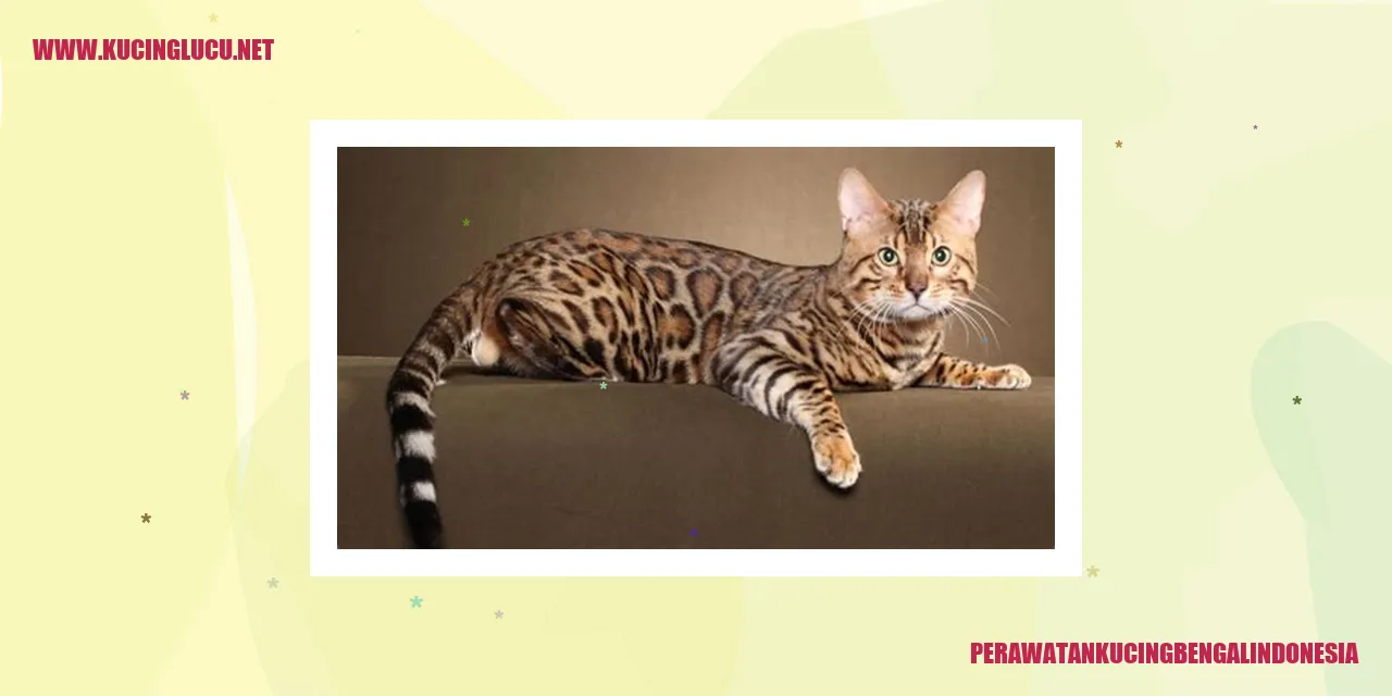 Perawatan Kesehatan Kucing Bengal Indonesia
