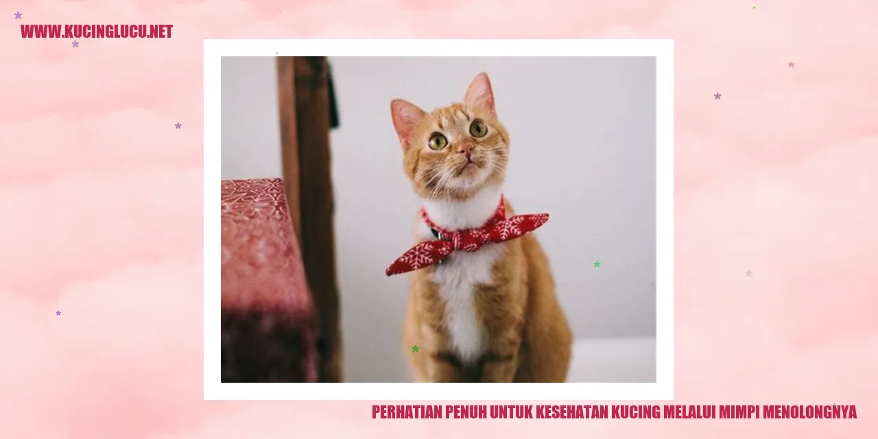 Perawatan Kesehatan Kucing mimpi menolong kucing