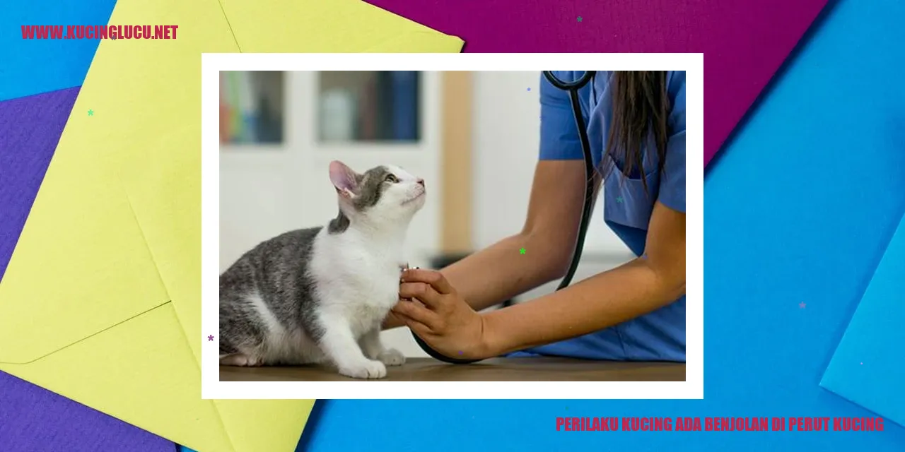 Kucing dengan benjolan di perut
