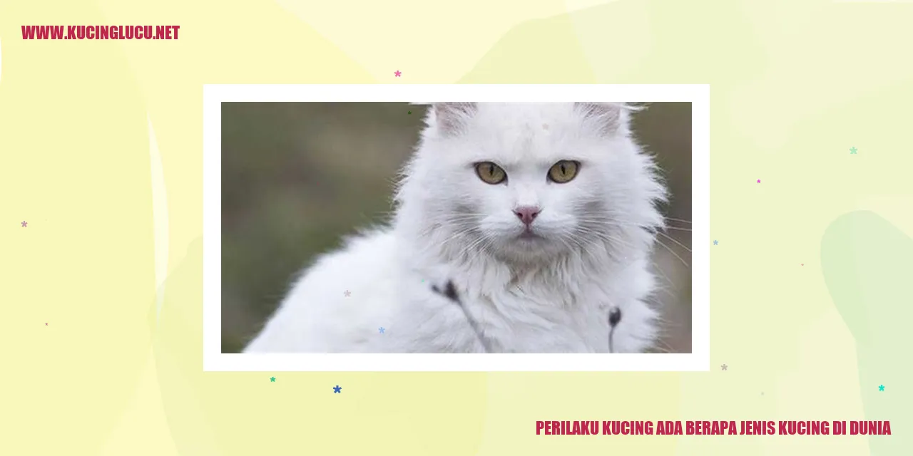 Perilaku Kucing ada Berapa Jenis Kucing di Dunia
