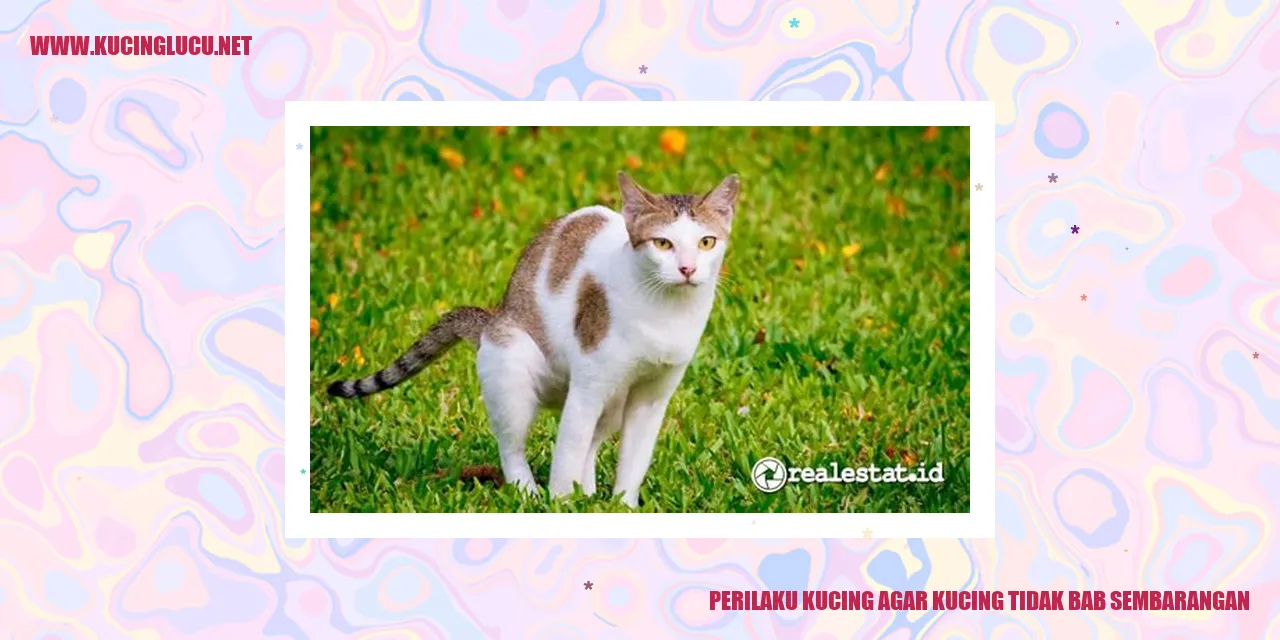 Kucing menggunakan litter box