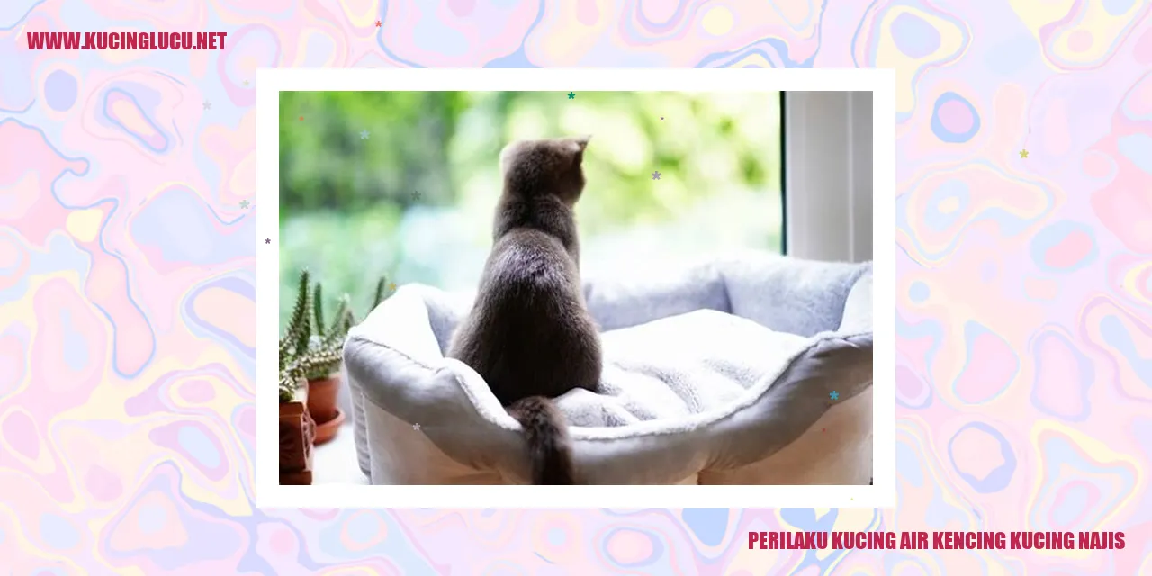 Perilaku Kucing air kencing kucing najis