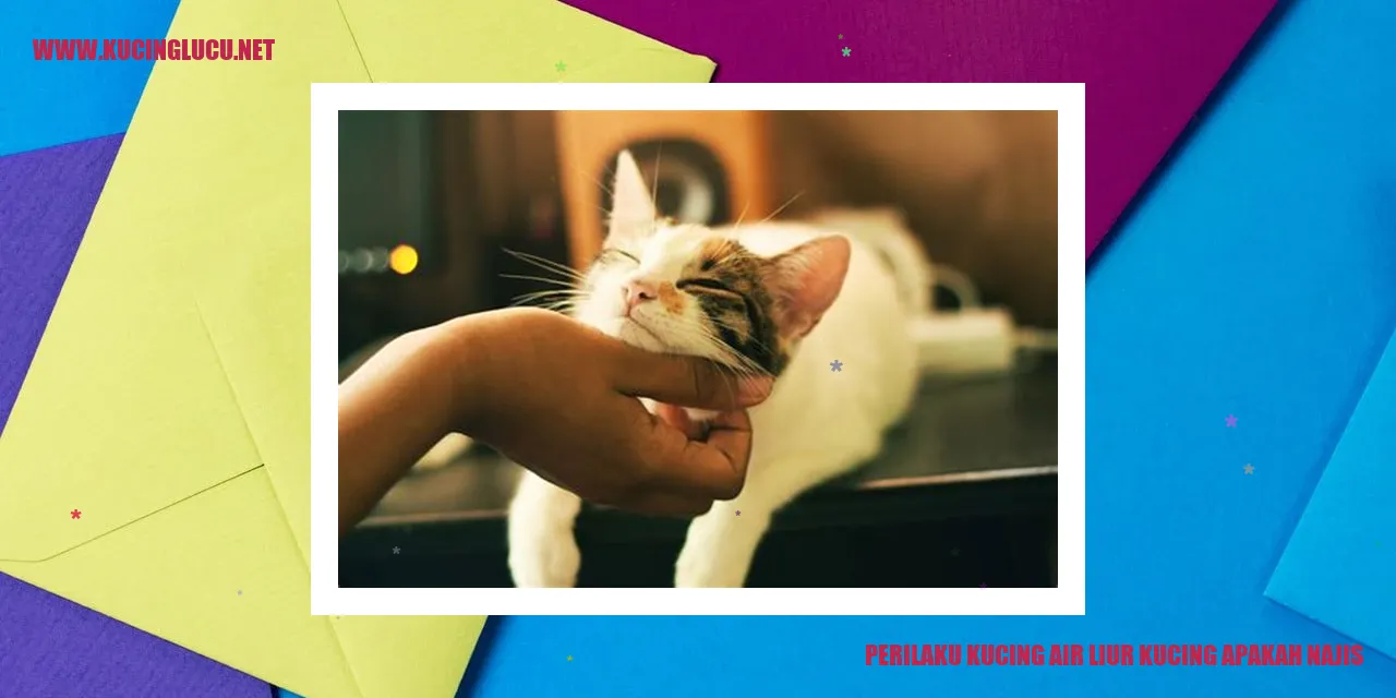 perilaku kucing