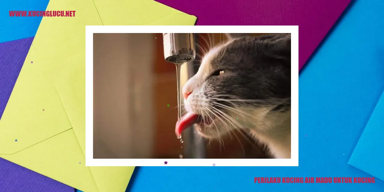 Perilaku Kucing Air Madu untuk Kucing