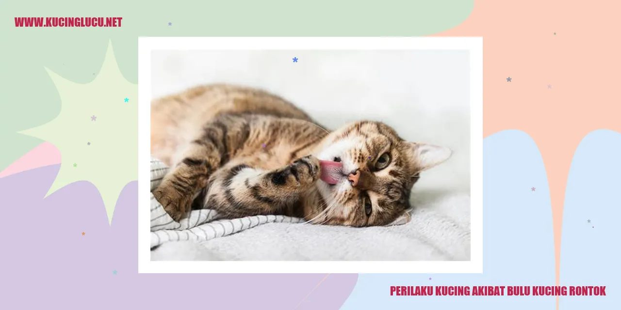 Perubahan Perilaku Kucing karena Bulu Kucing Rontok