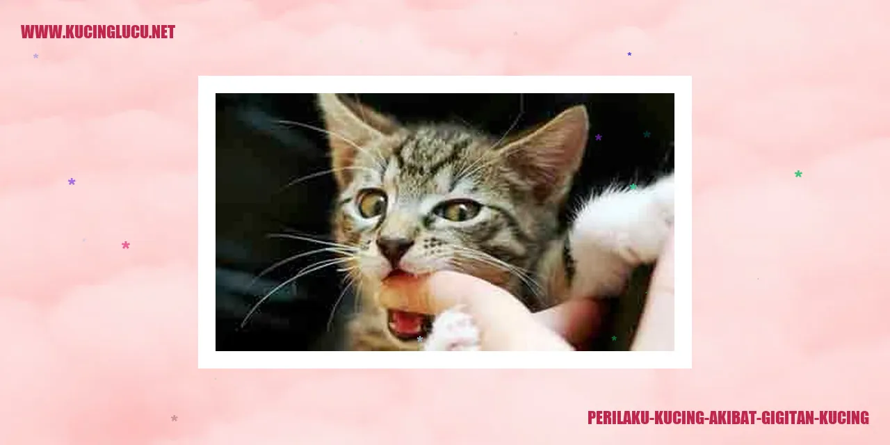 Potret Kucing yang Terkena Gigitan