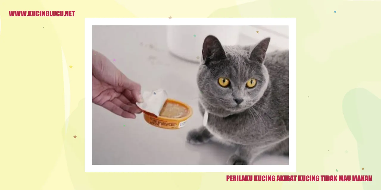Perilaku Kucing akibat kucing tidak mau makan
