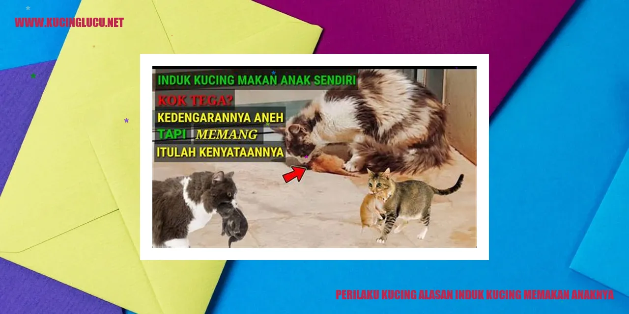 Ilustrasi kucing dan anaknya