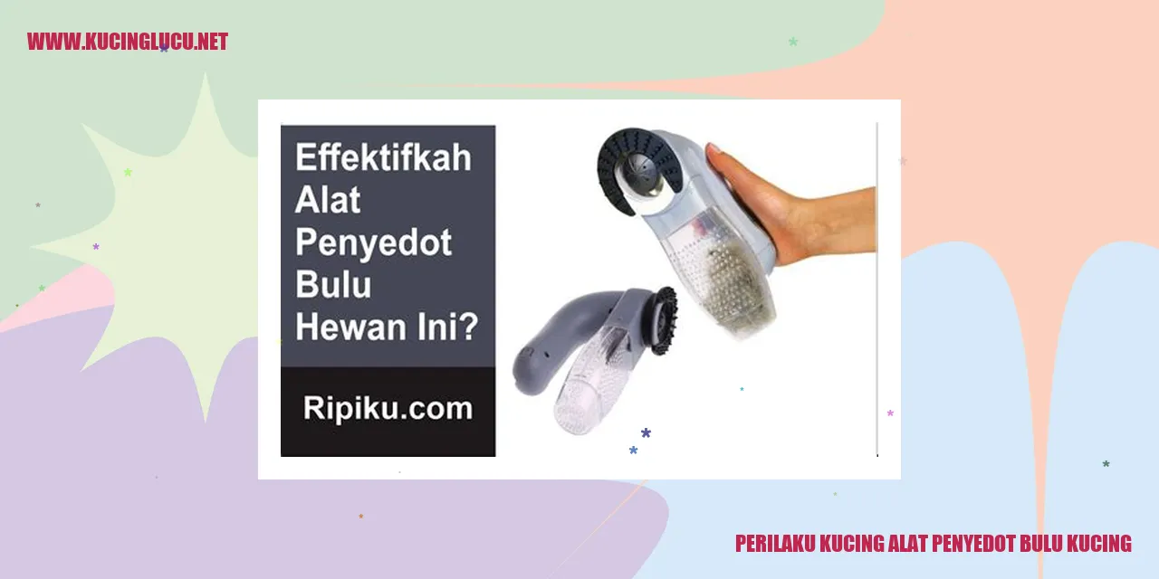 Gambar kucing menyukai alat penyedot bulu kucing