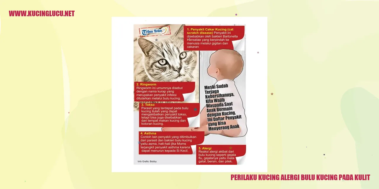 Gambar Kucing yang Mengalami Alergi Bulu Kucing pada Kulit