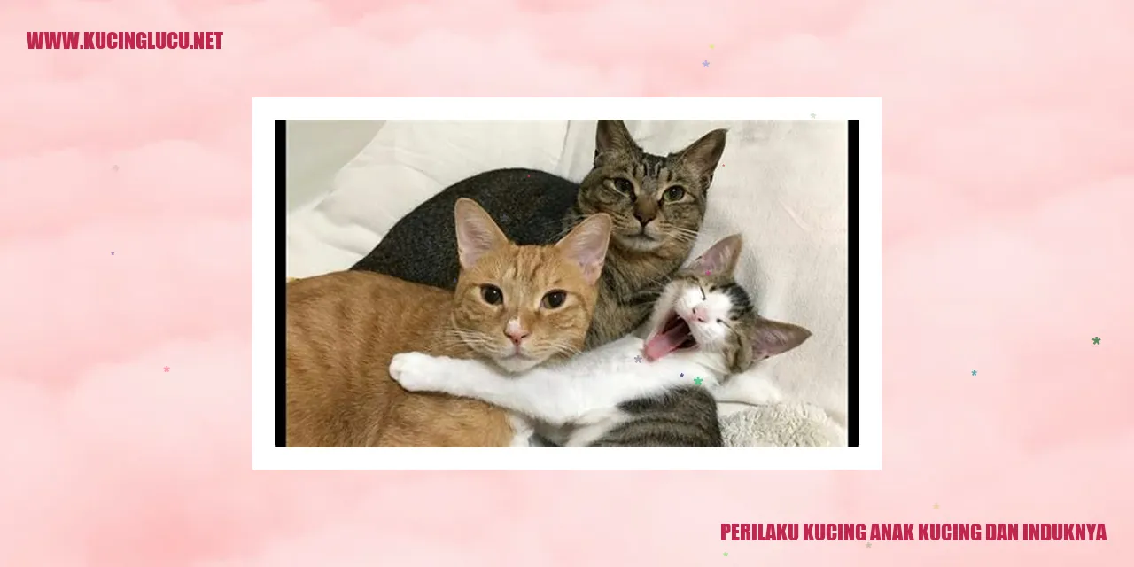 Ilustrasi Perilaku Kucing Anak Kucing dan Induknya