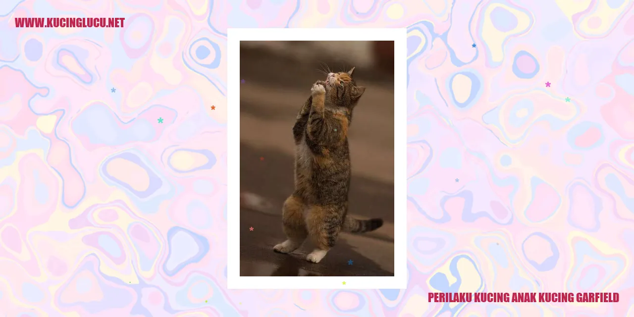 Perilaku Kucing Anak Kucing Garfield