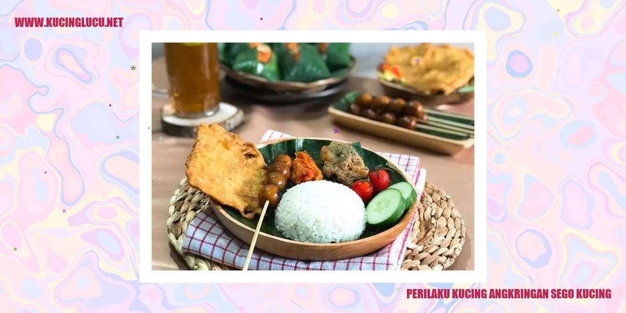 Gambar Kucing angkringan sego kucing