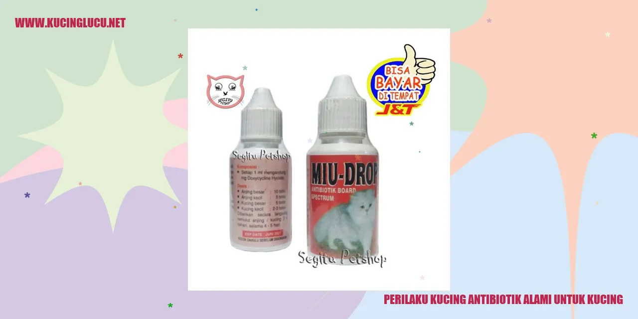 Kucing Antibiotik Alami