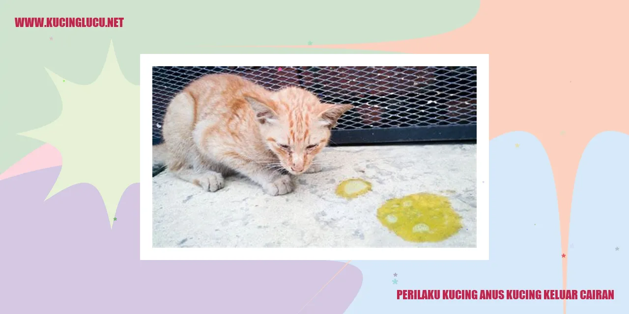 gambar kucing mencurahkan cairan melalui anus